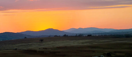 Rural Crime in North America: The “Wide-Open” Problem Hiding in Plain Sight