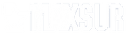 MAXSUR Logo with white background