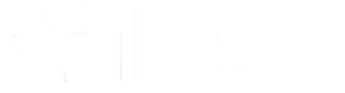 MAXSUR Logo White  on transparent background 