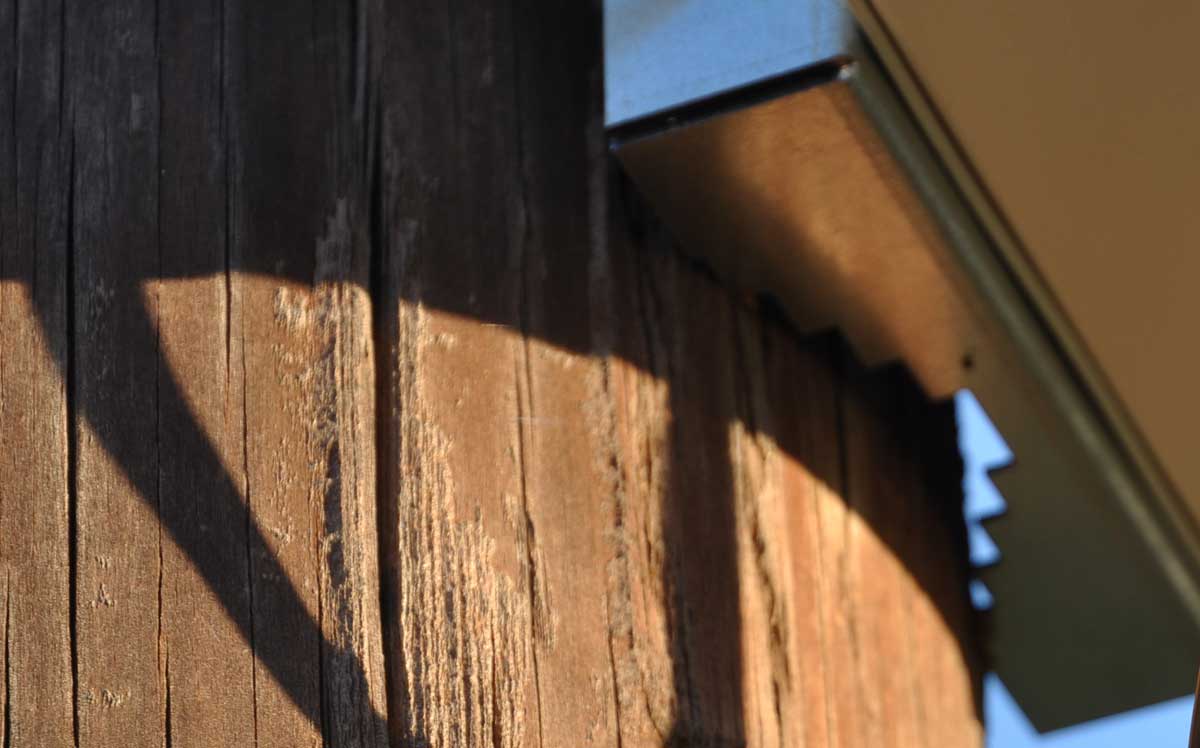 MAXSUR City Wide Surveillance Camera with Specialized Pole Mount