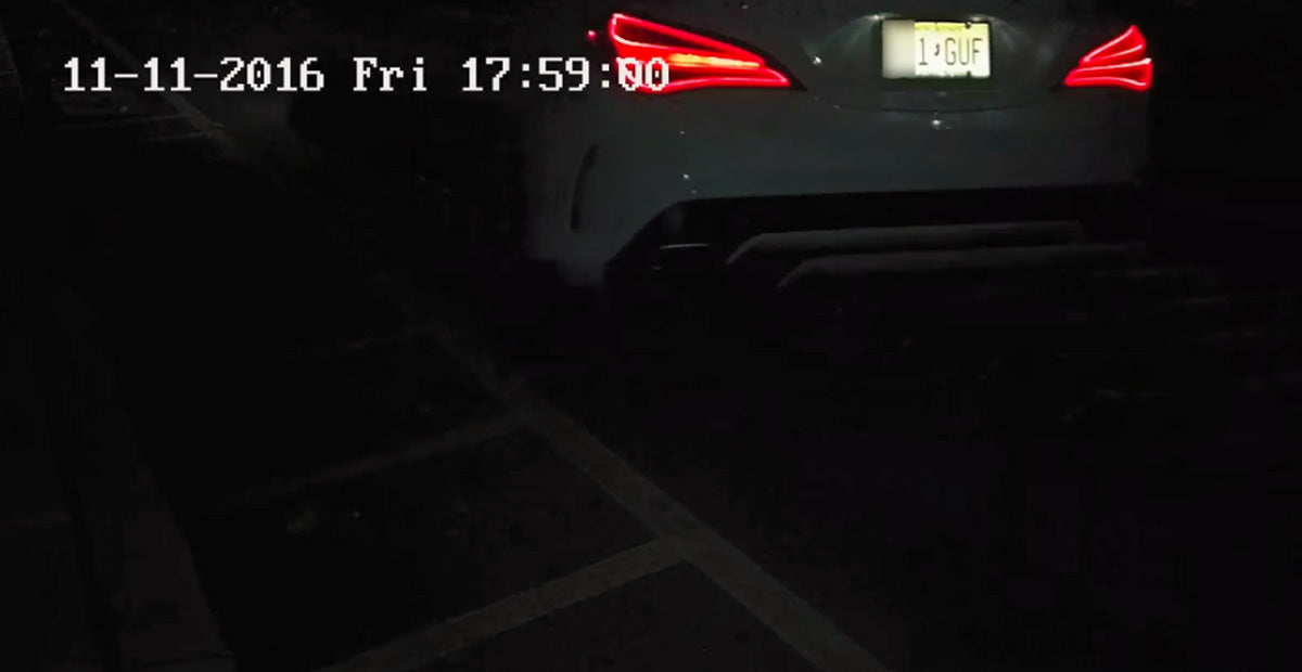 POLICE LPR REAR Sample Image from MAXSUR