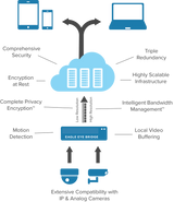 video management for pole cameras
